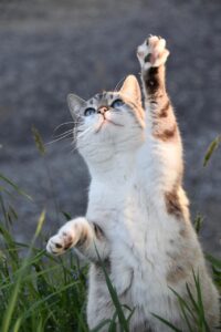 ニューバランスのパンプスは痛くない？その理由と選び方を解説！