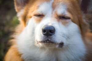ウェッジソールのパンプスで痛くないおすすめの選び方は？