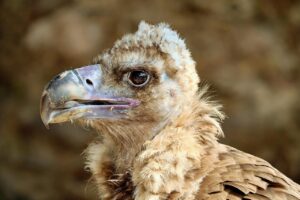 ユニクロのパンプスは本当に痛くない？レビューで徹底検証！
