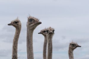 痛くないパンプスに最適な蒸れない素材とは？