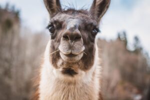 痛くないパンプスの履き口の形で痛いものを避ける方法は？